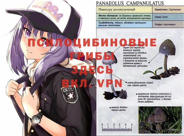 круглые Баксан