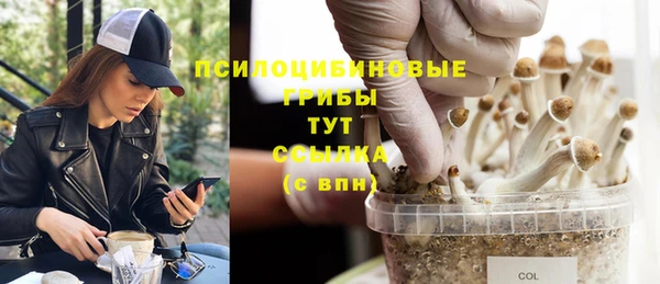 соль курить ск Балабаново