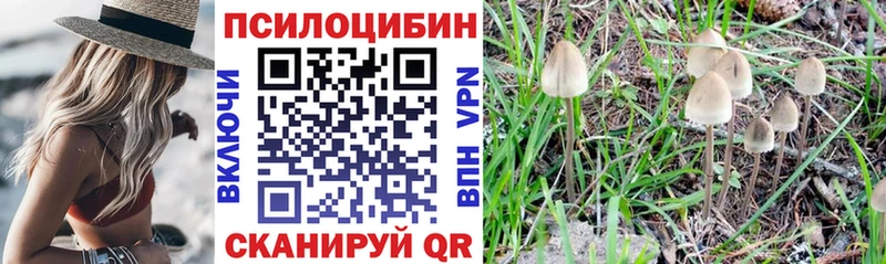 как найти   Козельск  Галлюциногенные грибы Magic Shrooms 